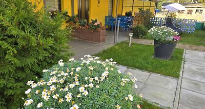 Bungalow Wiesenperle - Bungalow