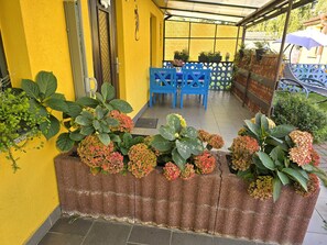 Unclassified image, 2 of 19, button