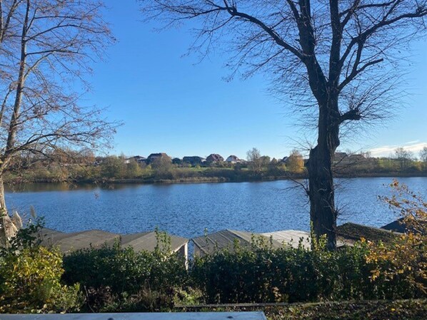 Imagen sin descripción, 1 de 16, botón