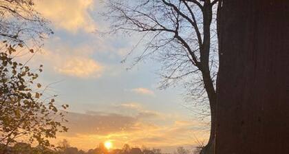 Bernie's happiness at sea