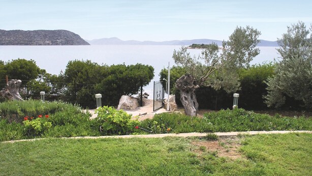 Un jardín arbolado con un sendero y vistas al mar.