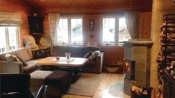 Télévision, cheminée, lecteur de DVD