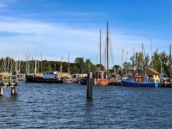 Imagen sin descripción, 1 de 20, botón