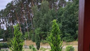 A wooden deck with a view of a landscaped garden featuring several coniferous trees and a variety of shrubs. - Apartment 1 - Apartment 1 (72389) (Lychen)