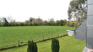 Un campo cubierto de hierba con una canaleta metálica y dos árboles pequeños al frente.