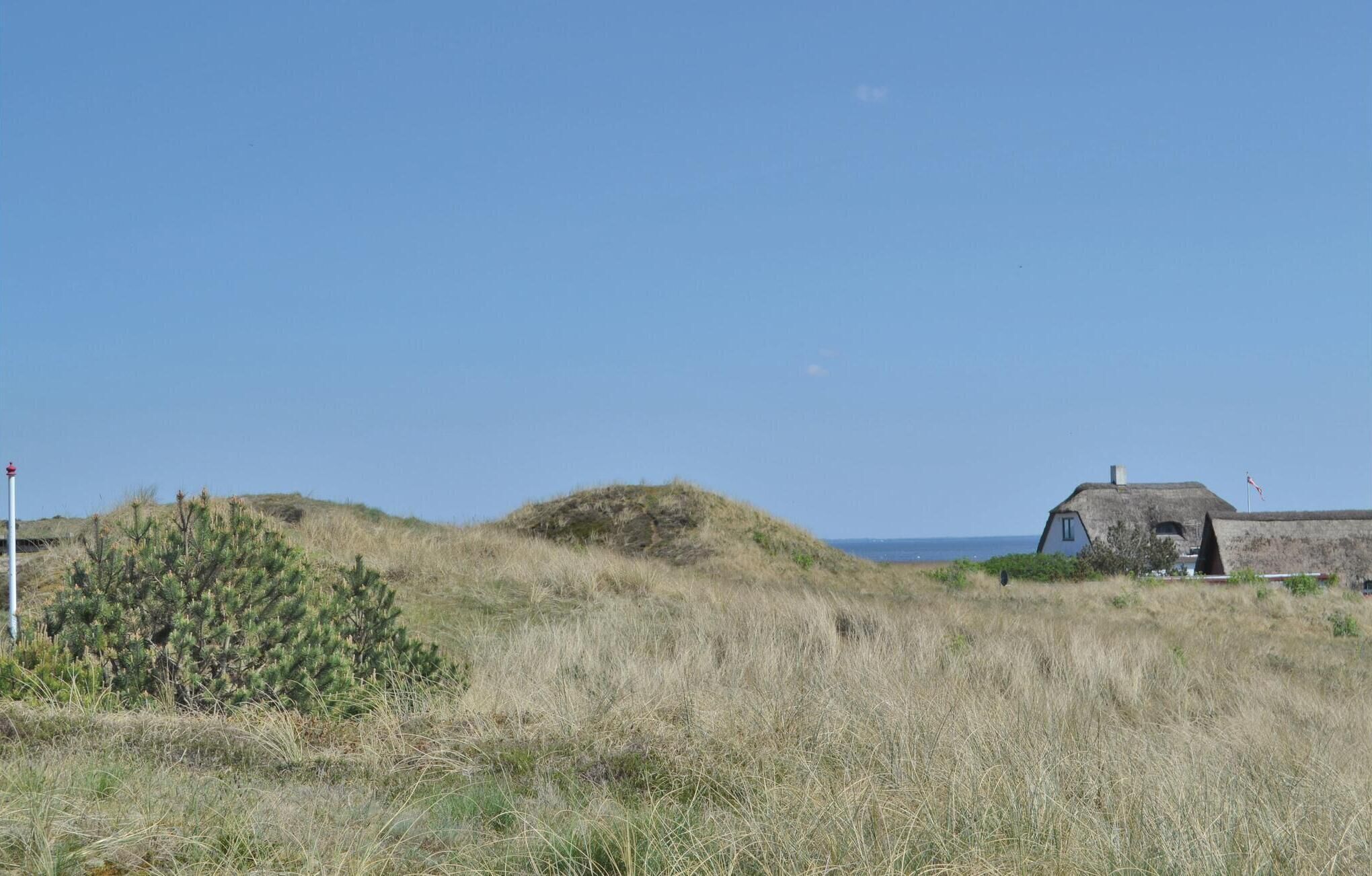 Paesaggio costiero con una casa a tetto di paglia, dune erbose e vegetazione rada.