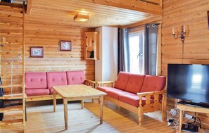 TV, fireplace, DVD player