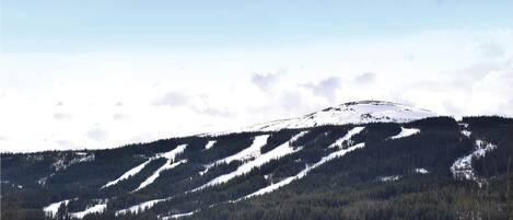 Une montagne parsemée de plaques de neige et recouverte d’une forêt dense.