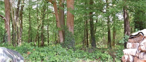 Terrain de lâhĂ©bergement