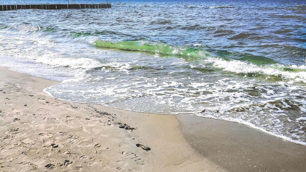 Uma praia arenosa com ondas quebrando na costa e um píer se estendendo para a água.