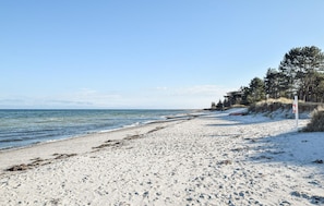 Une plage de sable fin, un ciel dégagé, une tour de surveillance et des arbres en arrière-plan.