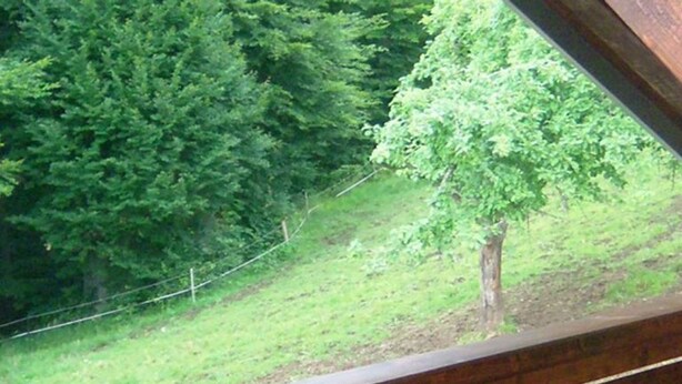 Une balustrade en bois surplombe une zone herbeuse parsemée d’arbres.