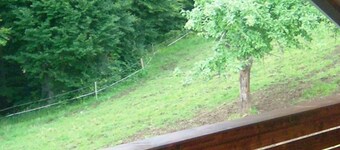 Camera Bio Living Waldblick con cucina - Bio Bauernhof Mondsee Familie Schafleitner-Kroiß (3 fiori)