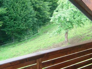 Unclassified image, 3 of 19, button - Bio living Waldblick room with kitchen - Bio Bauernhof Mondsee Familie Schafleitner-Kroiß (3 flowers) (Guggenberg)