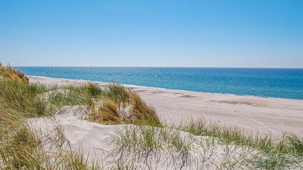 A beach with sand dunes and a clear view of the ocean. - Lovely apartment in Hvide Sande (Hvide Sande)