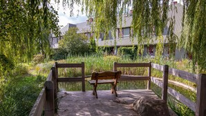 A wooden deck with a bench overlooking a pond, surrounded by lush greenery and a building in the background. - 270m² apartment - apartment (Rubenow)