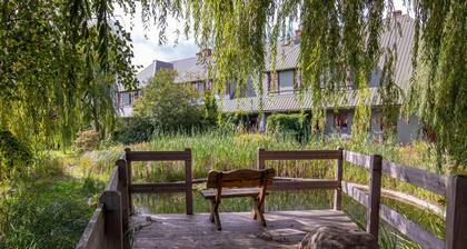 270m² Ferienwohnung Alter Kuhstall - Ferienwohnung