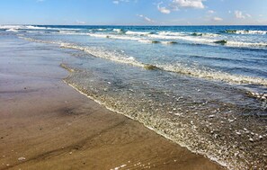 بالقرب من الشاطئ