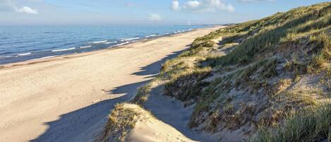 Plage à proximité