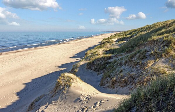 Nära stranden