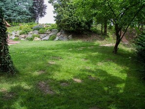 A grassy outdoor area with a stone wall and trees.