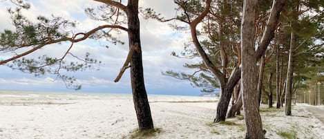 In Strandnähe