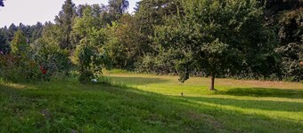 Appartement entre forêt et plage - appartement