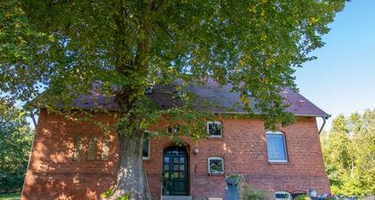 Ferienwohnung zwischen Wald und Strand - Ferienwohnung