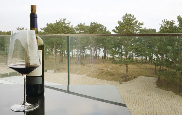 A wine glass and bottle on a balcony with a view of a forest and beach.