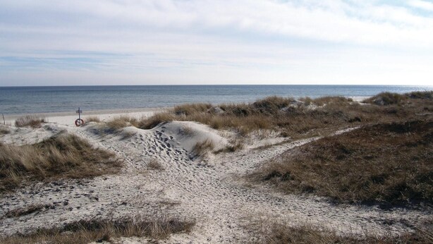 Ein sandiger Strand mit Dünen und einem Rettungsring.