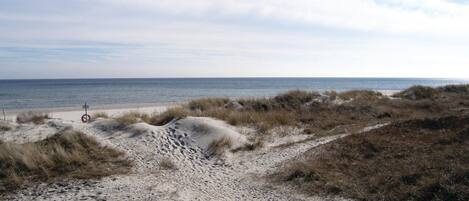 Ranta lähistöllä, kalastusmahdollisuus