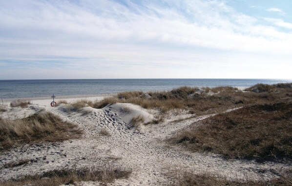 ビーチの近く、釣り