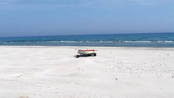 Tæt på stranden, fiskeri
