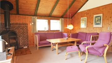 Televisión y chimenea