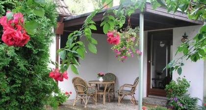 Haus Antje - Ferienwohnung