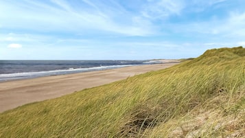 Une plage avec des dunes herbeuses et l’océan en arrière-plan.