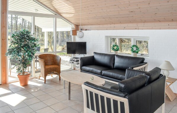 TV, fireplace, DVD player
