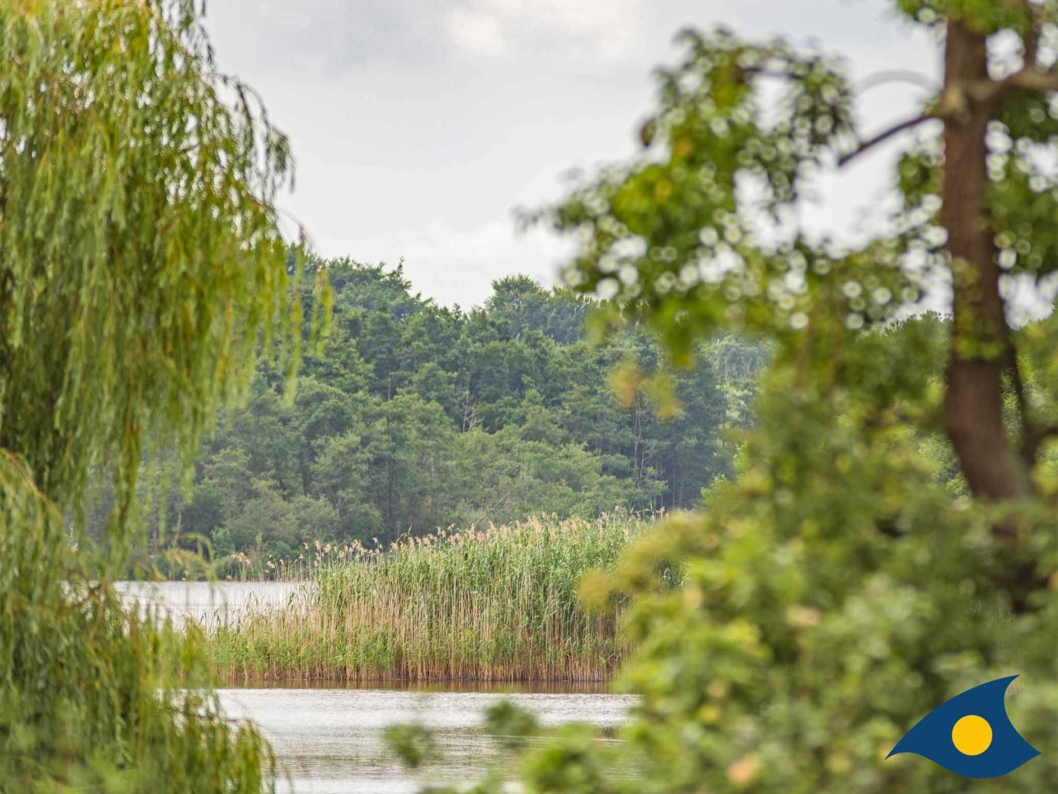 A serene lakeside view with dense greenery and a forested hill in the background.