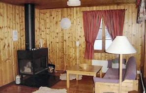 Fernseher, Kamin, DVD-Player