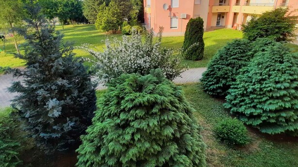 Un immeuble résidentiel à plusieurs étages, doté de balcons, entouré de pelouses bien entretenues et de diverses espèces d’arbres.