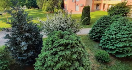 Holiday apartment with air conditioning and Wi-Fi