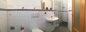 Shower, hair dryer