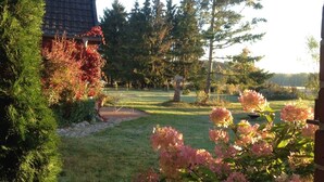 Um jardim bem cuidado com gramado, arbustos floridos e uma árvore grande.