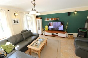 Fernseher, Kamin