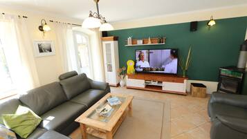 Fernseher, Kamin