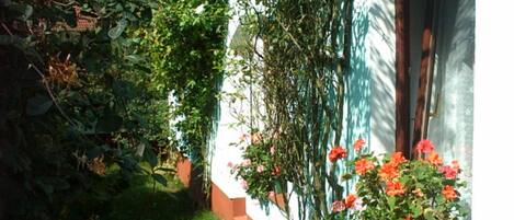 DĂ©tail de lâextĂ©rieur