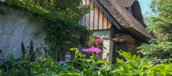Villa Ilsebill - artists' house