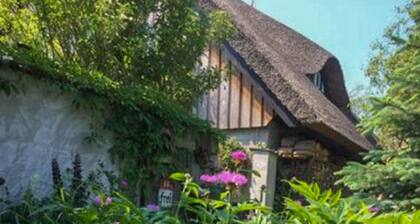 Villa Ilsebill - KĂŒnstlerhaus Kora avec Villa Ilsebill et Charlotte LandLust