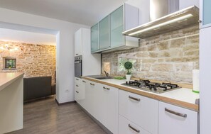 Frigorífic, microones, placa de cuina i rentaplats 