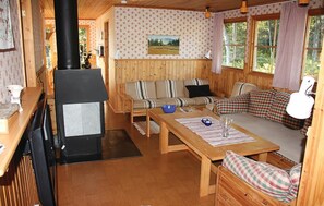 Fernseher, Kamin